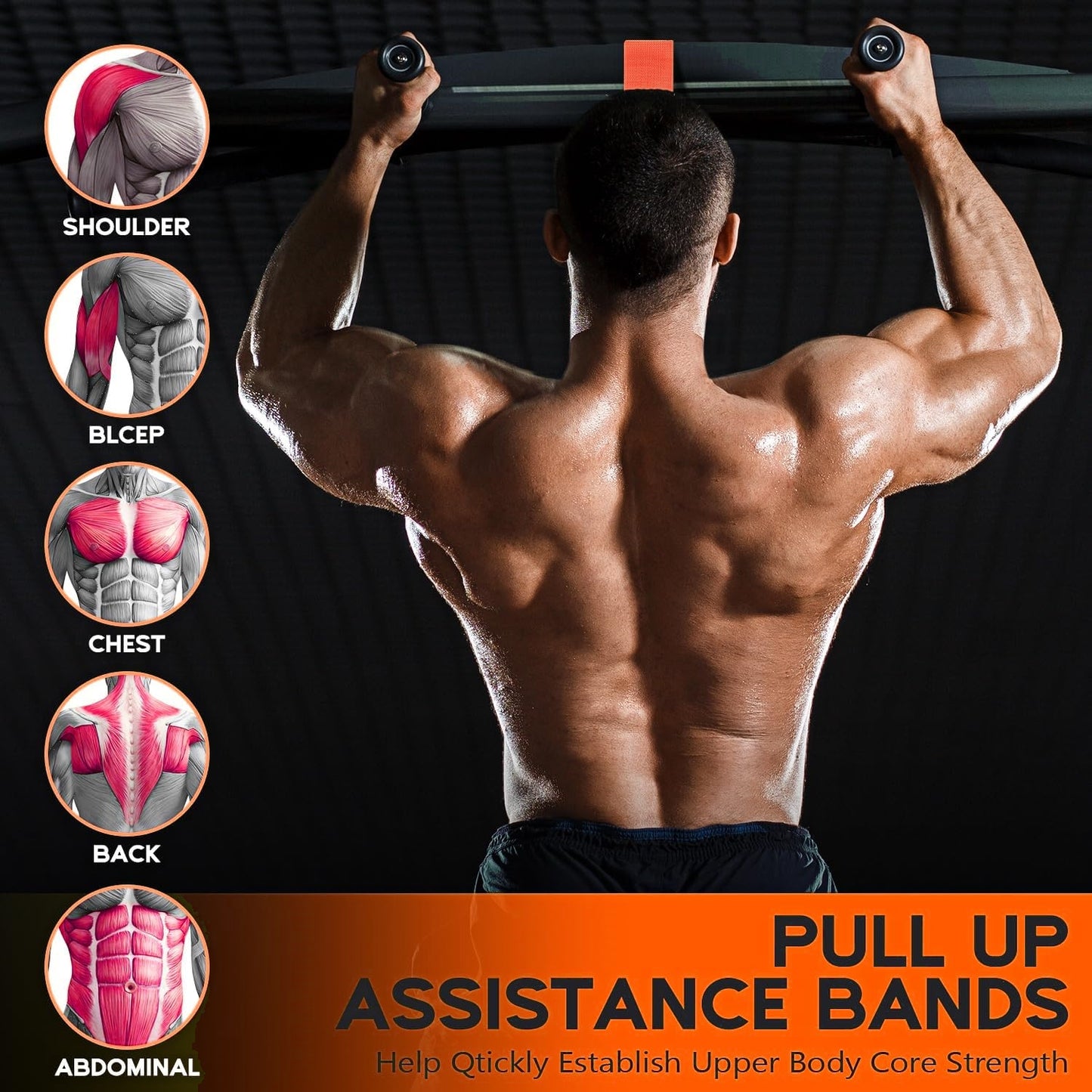 Pull Up Assistance Bands, Resistance Bands for Pull Up Bar Workout, Adjustable Heavy Duty Pull Up Assist Equipment with 4 Assistance Bands, Home Gym Fitness Exercise Strength Training